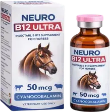 Neuro B12 Ultra product image