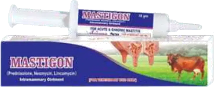 Mastigon Ointment product image